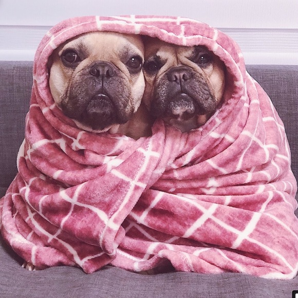 Meet your Posher - Picture 1 of 1